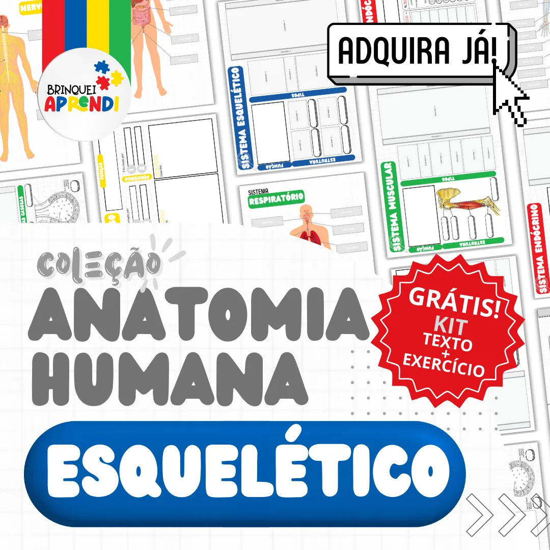 KIT - SISTEMA ESQUELETICO 1